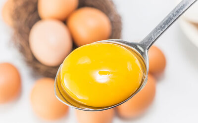 Innovative Trends in the World of Egg Products: Melange, Albumin, Yolk and Other Novelties